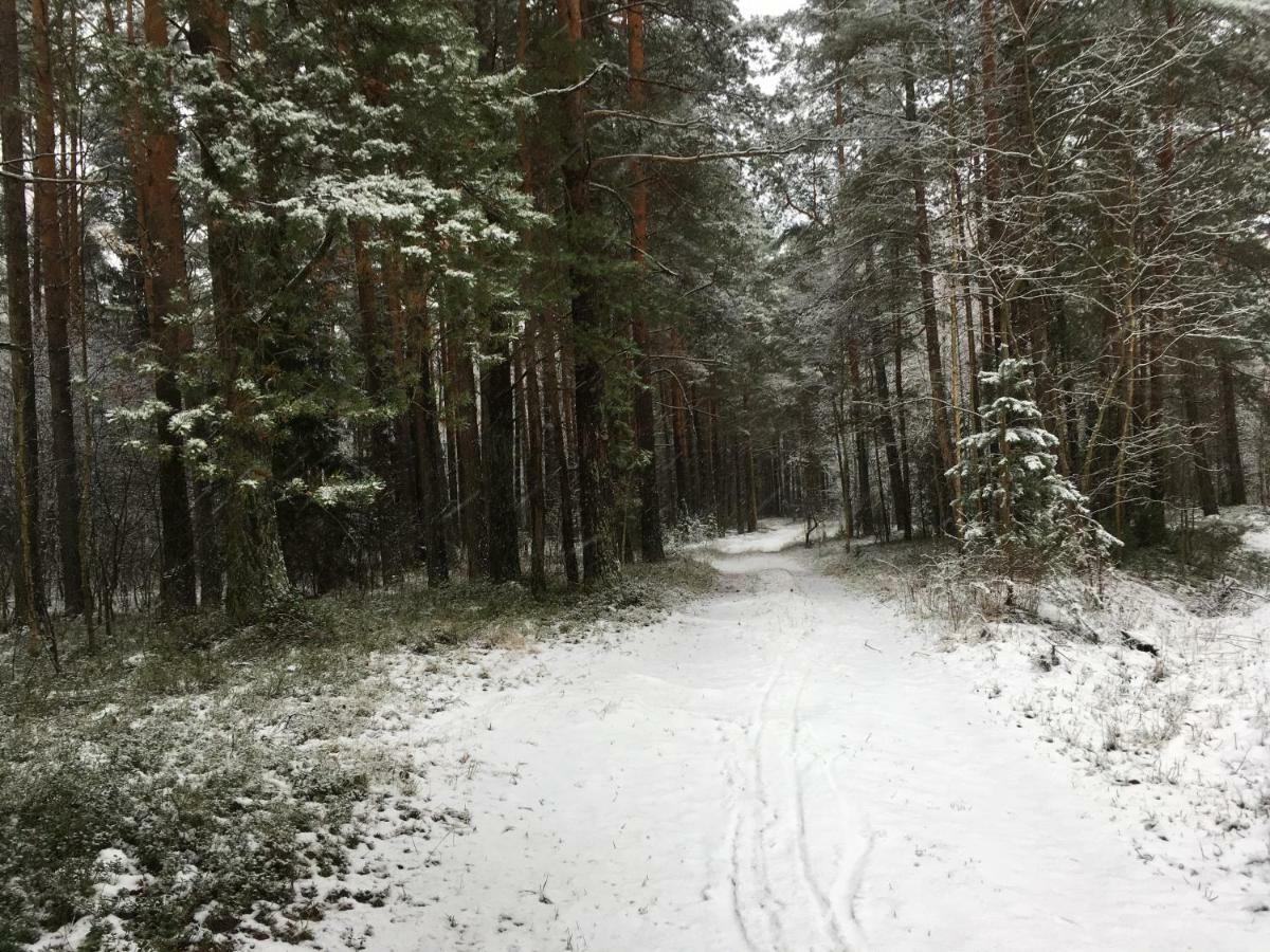 Vila Migla Paseksciai Buitenkant foto