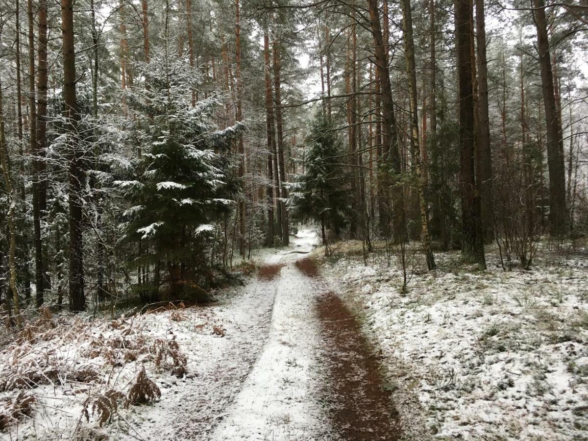 Vila Migla Paseksciai Buitenkant foto