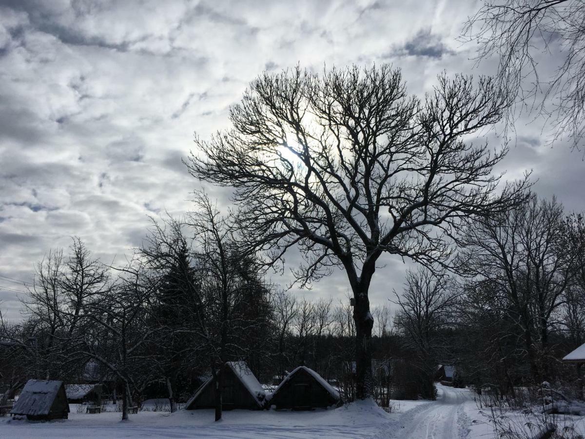 Vila Migla Paseksciai Buitenkant foto