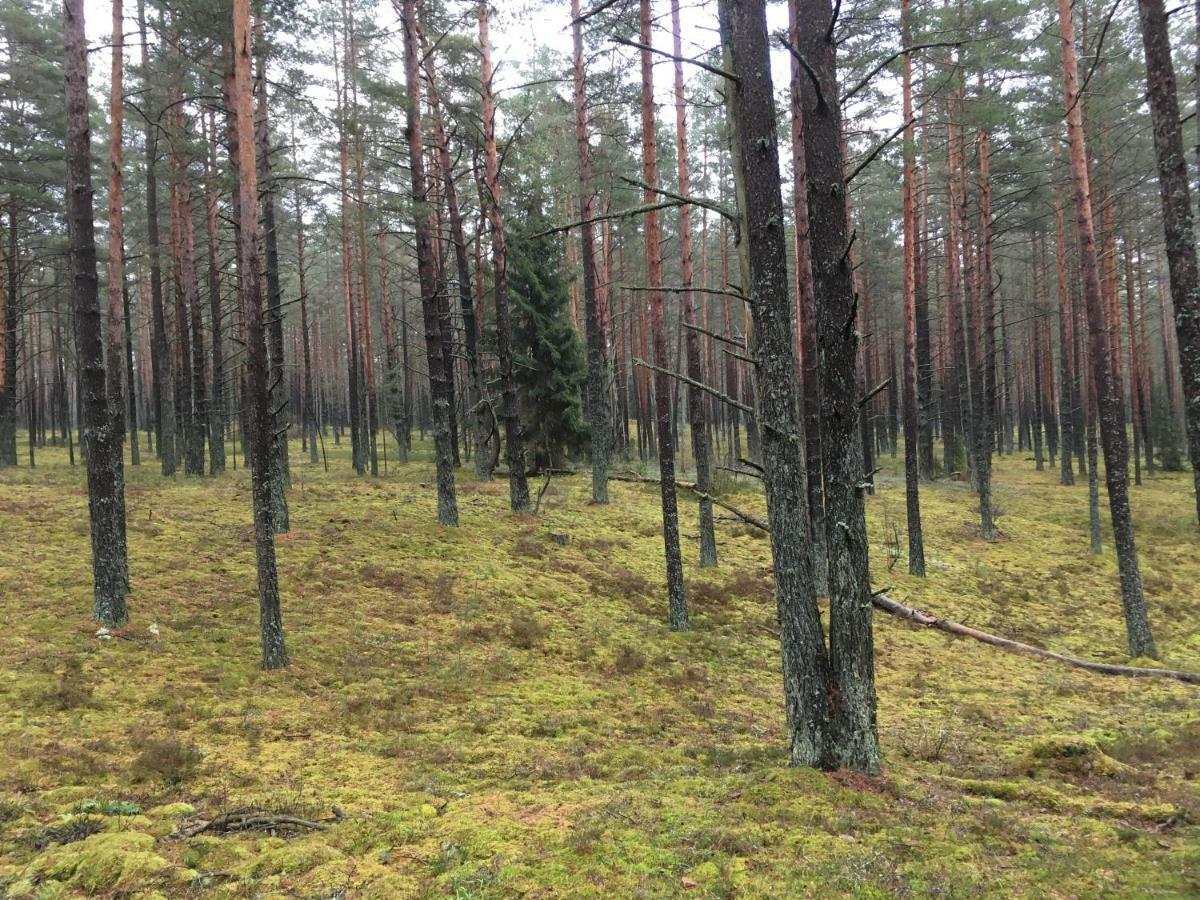 Vila Migla Paseksciai Buitenkant foto