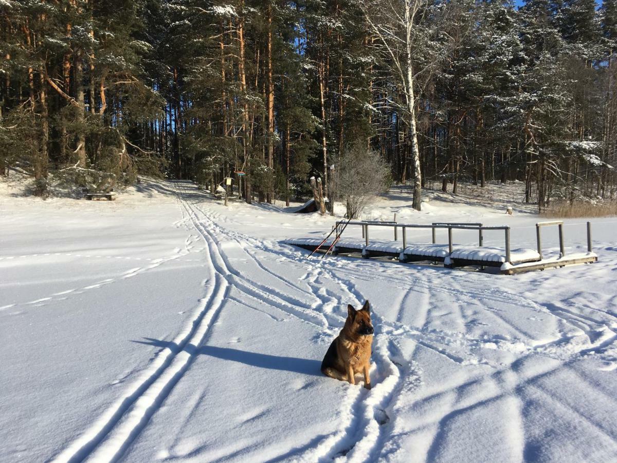 Vila Migla Paseksciai Buitenkant foto