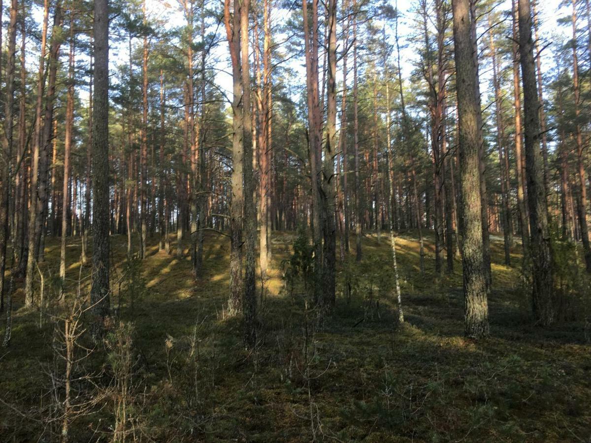 Vila Migla Paseksciai Buitenkant foto